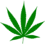 WeedBay.co.uk