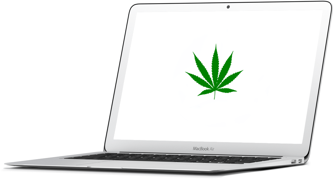 WeedBay